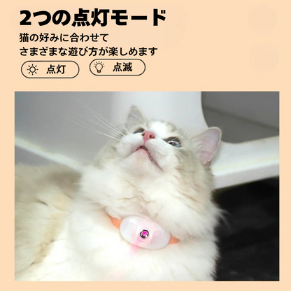 「愛猫がひとりでも楽しめる！魔法のレーザー首輪」 🐱✨